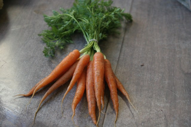 "Real" Baby Carrots from Mariquita Farm