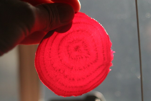 A paper thin roasted beet slice held up against the sun.