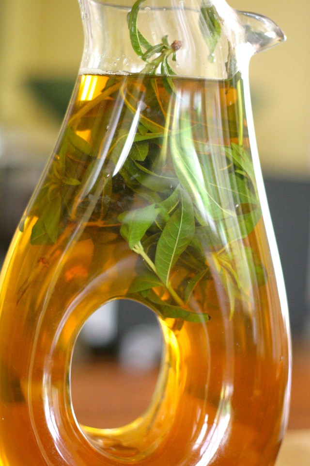 Lemon Verbena Green Tea Infusion