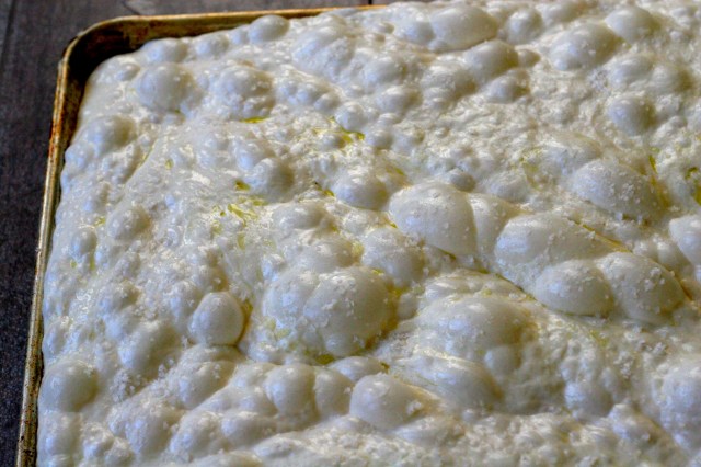 Fully risen focaccia dough