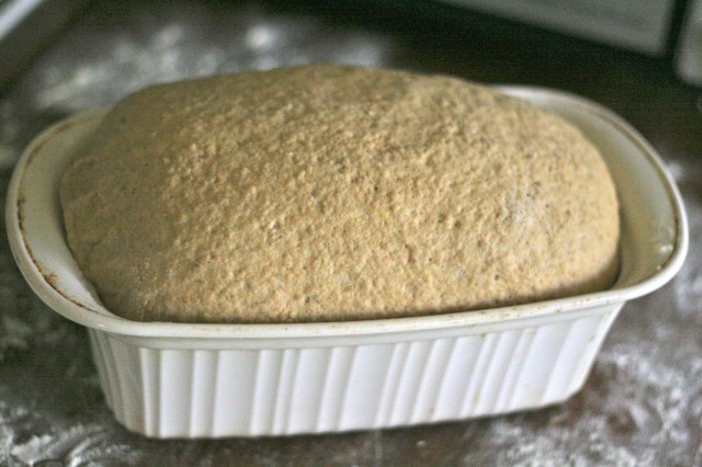 Fully risen multigrain loaf